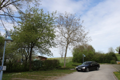W203-01.05.2012-071