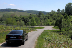 W203-001