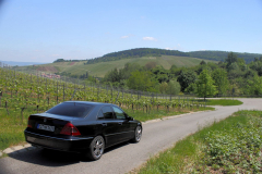 W203-010