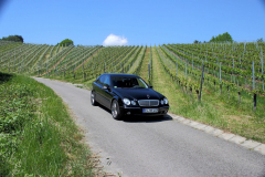 W203-015