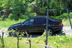 W203-036