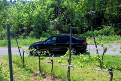 W203-037