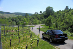 W203-040