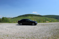 W203-013