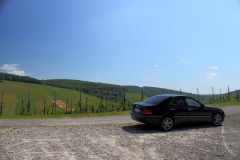 W203-028