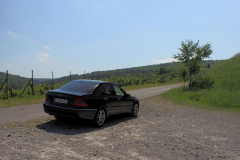 W203-029