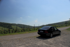 W203-031