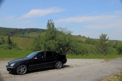 W203-049