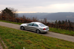 spookies_w211_galerie_009