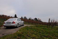 spookies_w211_galerie_061
