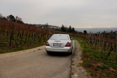 spookies_w211_galerie_075