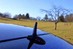 IMG_0588