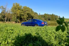 W211_Pommertsweiler_022